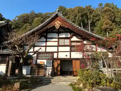 正伝護国禅寺(正伝寺･正傳寺)の{uncategorized: "未分類", other: "その他", undefined: "問題あり", building: "その他建物", grave: "お墓", sacred_gate: "鳥居", guardian: "狛犬", statue: "像", buddha: "仏像", history: "歴史", nature: "自然", garden: "庭園", animal: "動物", pagoda: "塔", temizu: "手水舎", mountain_gate: "山門・神門", sanctuary: "本殿・本堂", subordinate: "末社・摂社", art: "芸術", scenery: "景色", jizo: "地蔵", ema: "絵馬", goshuin: "御朱印", omikuji: "おみくじ", items: "授与品その他", amulet: "お守り", goshuincho: "御朱印帳", eats: "食事", festival: "お祭り", votive_dance: "神楽", shichigosan: "七五三参", wedding: "結婚式", experience: "体験その他", initially: "初詣", around: "周辺", anti_infection: "感染症対策"}