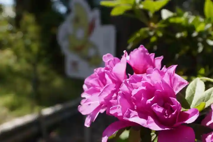 玉田神社(京都府)