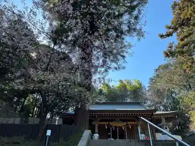 中氷川神社(埼玉県)