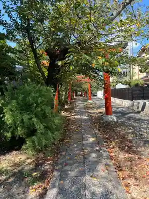 竹中稲荷神社（吉田神社末社）(京都府)