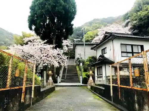 温泉神社の建物その他