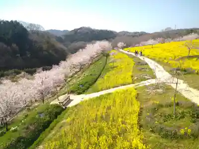 巳徳神社の周辺