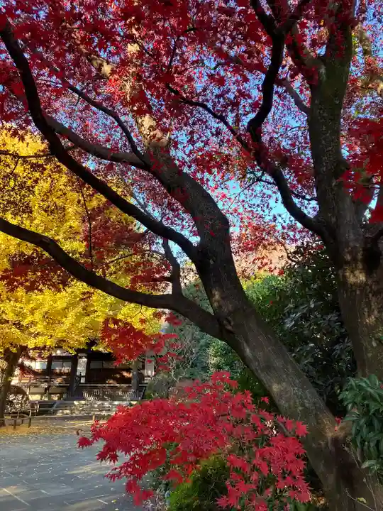 高円寺(東京都)