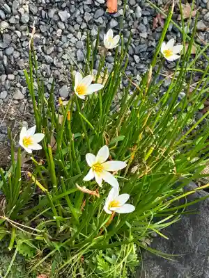 法寳閣檀林寺(京都府)