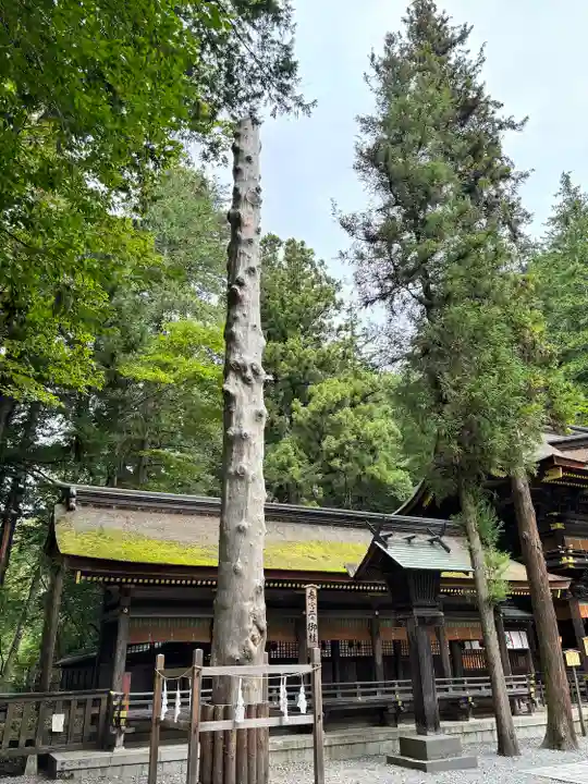 諏訪大社下社春宮(長野県)