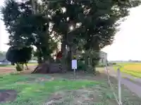 稲荷神社(千葉県)