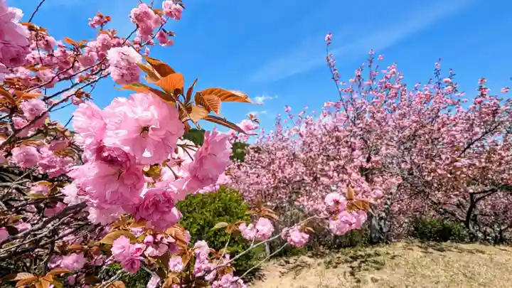 金蛇水神社(宮城県)