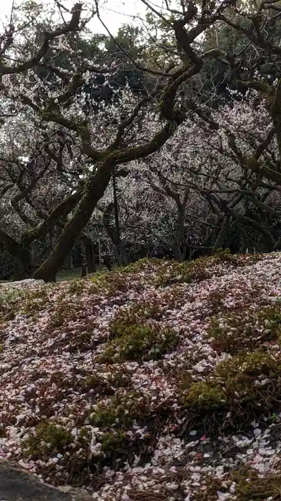 北野天満宮(京都府)
