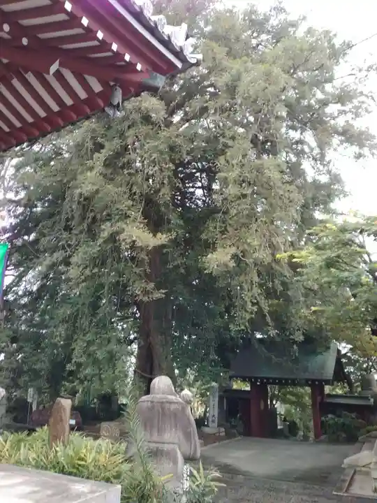 善養寺(善養密寺)のその他建物