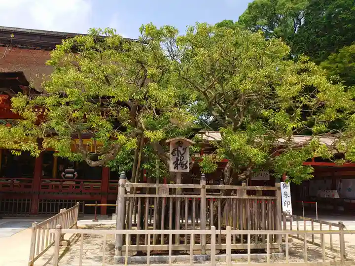 太宰府天満宮(福岡県)