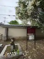 達磨寺の{uncategorized: "未分類", other: "その他", undefined: "問題あり", building: "その他建物", grave: "お墓", sacred_gate: "鳥居", guardian: "狛犬", statue: "像", buddha: "仏像", history: "歴史", nature: "自然", garden: "庭園", animal: "動物", pagoda: "塔", temizu: "手水舎", mountain_gate: "山門・神門", sanctuary: "本殿・本堂", subordinate: "末社・摂社", art: "芸術", scenery: "景色", jizo: "地蔵", ema: "絵馬", goshuin: "御朱印", omikuji: "おみくじ", items: "授与品その他", amulet: "お守り", goshuincho: "御朱印帳", eats: "食事", festival: "お祭り", votive_dance: "神楽", shichigosan: "七五三参", wedding: "結婚式", experience: "体験その他", initially: "初詣", around: "周辺", anti_infection: "感染症対策"}