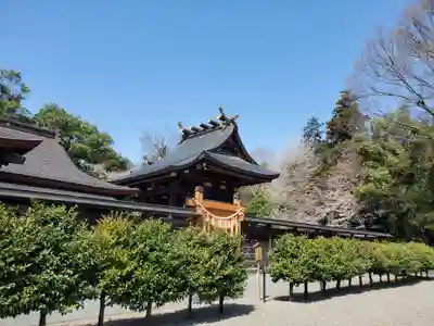 鷲宮神社(埼玉県)