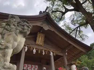宝満宮竈門神社の本殿・本堂