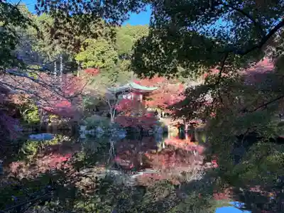 醍醐寺(京都府)