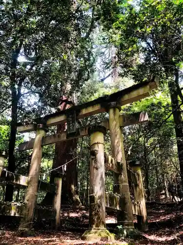 市房山神宮の鳥居