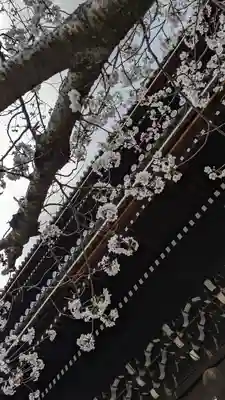 知恩院(京都府)