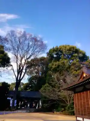 阿佐ヶ谷神明宮(東京都)