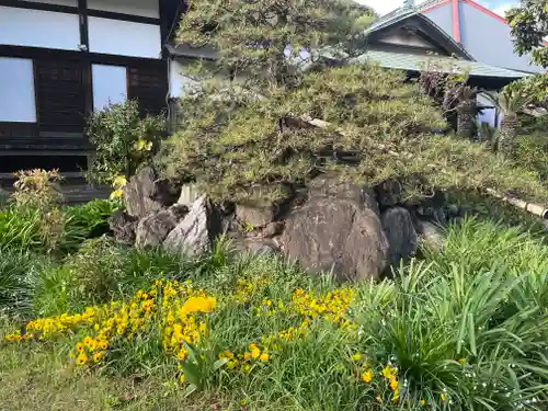 金蔵寺(神奈川県)