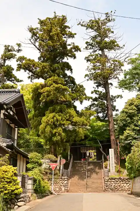 岩殿山安楽寺(吉見観音)(埼玉県)