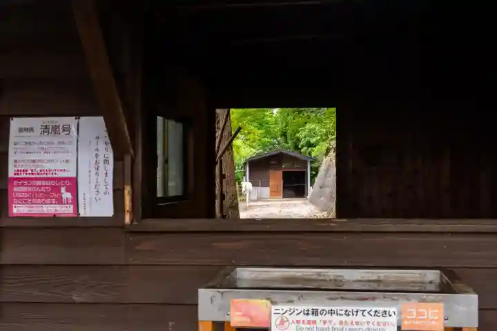 鹿児島神宮(鹿児島県)