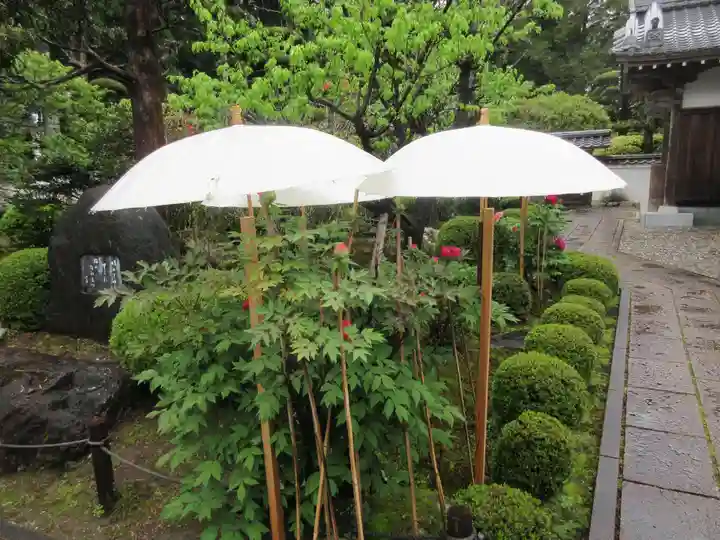 國分寺(高知県)