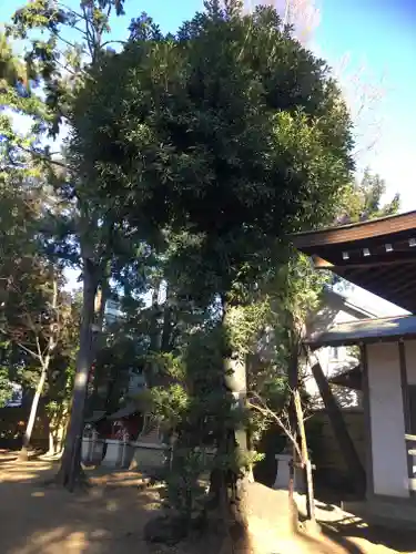 天沼八幡神社のその他建物