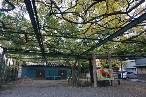 國領神社の庭園