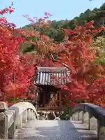 禅林寺(永観堂)の景色