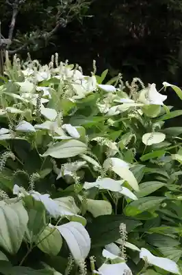 両足院(京都府)