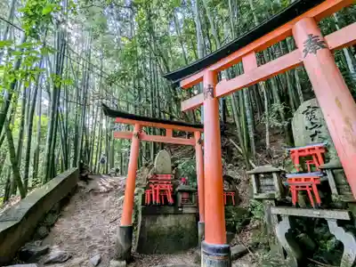 伏見稲荷大社(京都府)