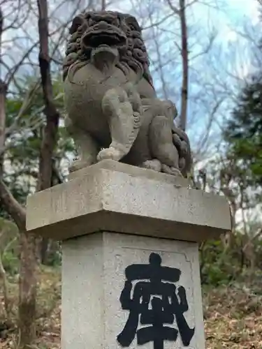 神祇大社の狛犬