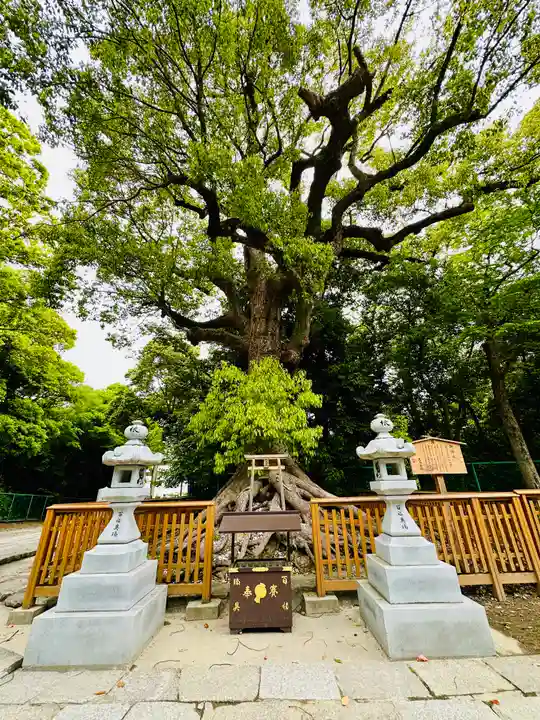 和泉國一之宮 大鳥大社(大阪府)