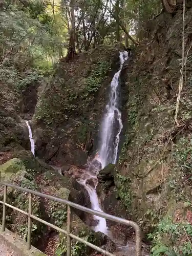 聖寳寺の庭園