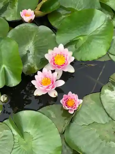 大生郷天満宮の庭園