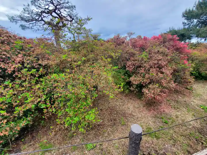 善長寺(群馬県)