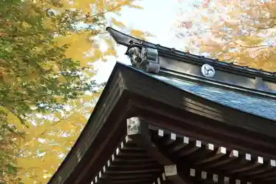 熊野福藏神社の本殿・本堂