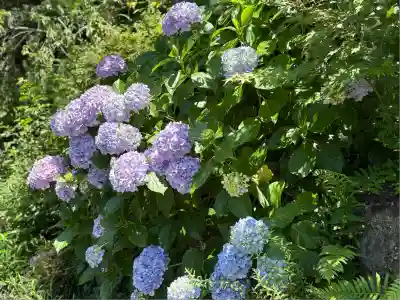 覚園寺(神奈川県)