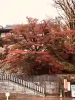 楽法寺(雨引観音)の自然