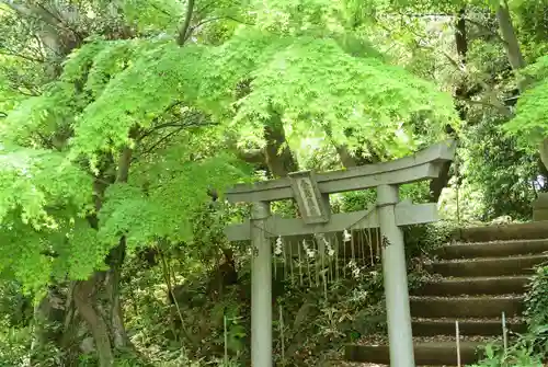 高尾山薬王院の鳥居