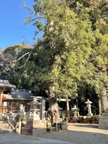 八幡神社(滋賀県)