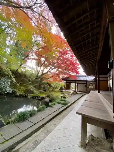 榮攝院（栄摂院）の庭園