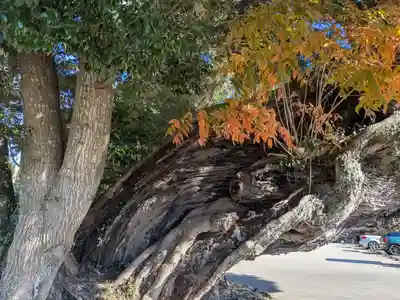 鹿島神宮(茨城県)