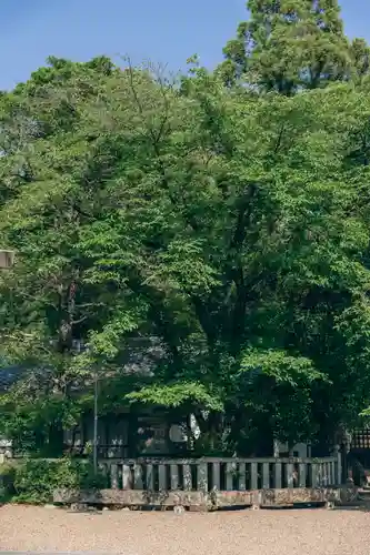 機物神社(大阪府)