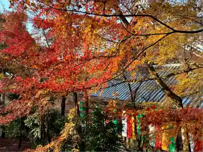 禅林寺(永観堂)(京都府)