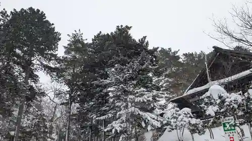 上川神社の景色