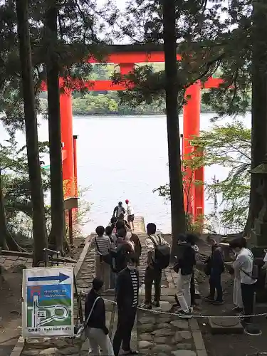 箱根神社の鳥居