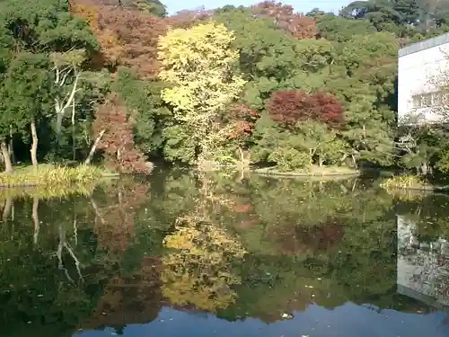 鶴岡八幡宮の庭園