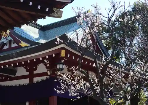 亀戸天神社(東京都)