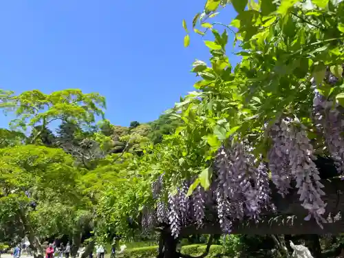 鹿島神宮(茨城県)