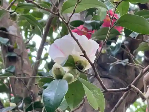 浄得寺(三重県)